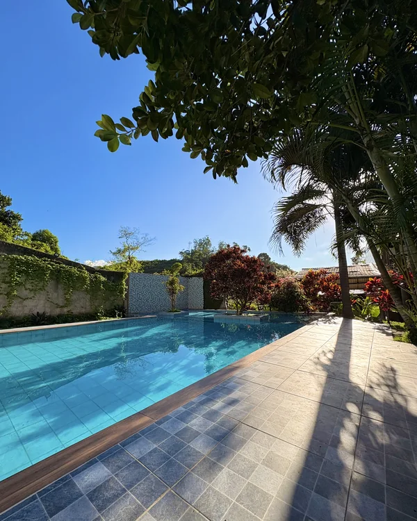 Vista ampla da piscina com jardim e sombras de palmeiras na borda.