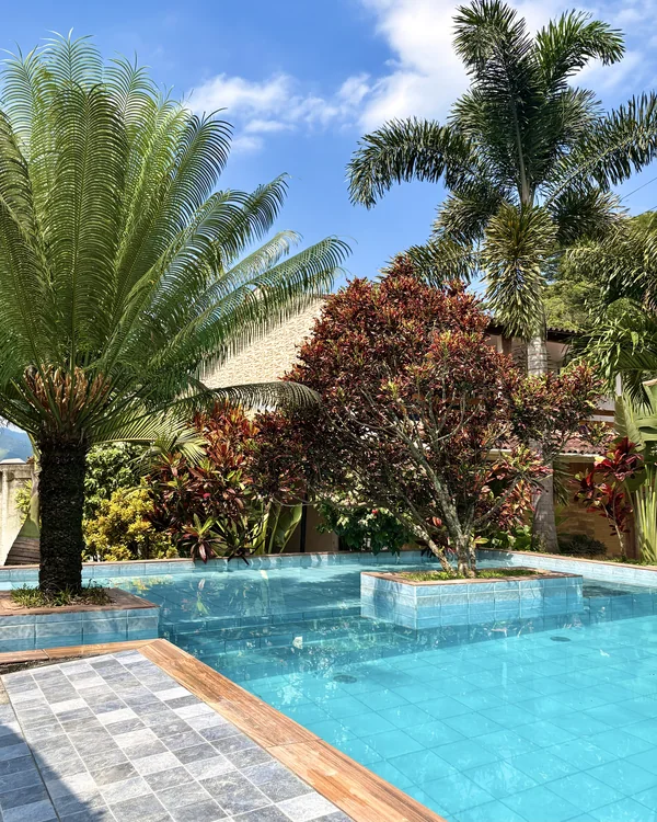 Piscina cercada por palmeiras e folhagens de diferentes cores.