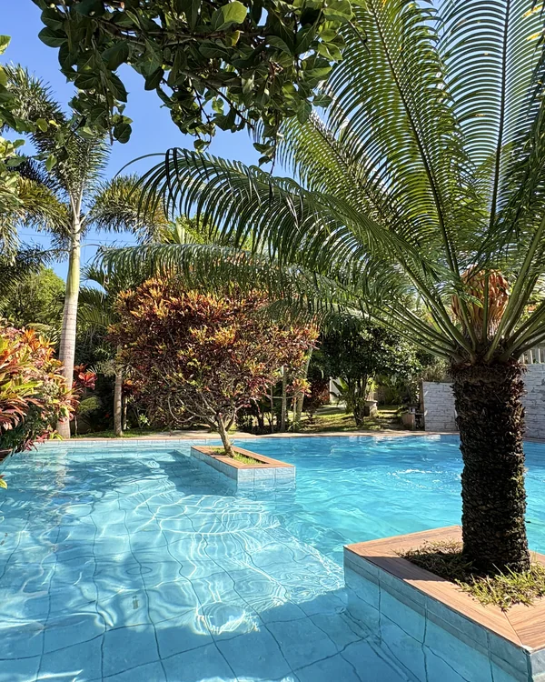 Água azul da piscina entre palmeiras e ilhas com plantas.